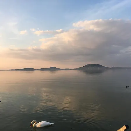Διαμέρισμα Moricz Wellness *